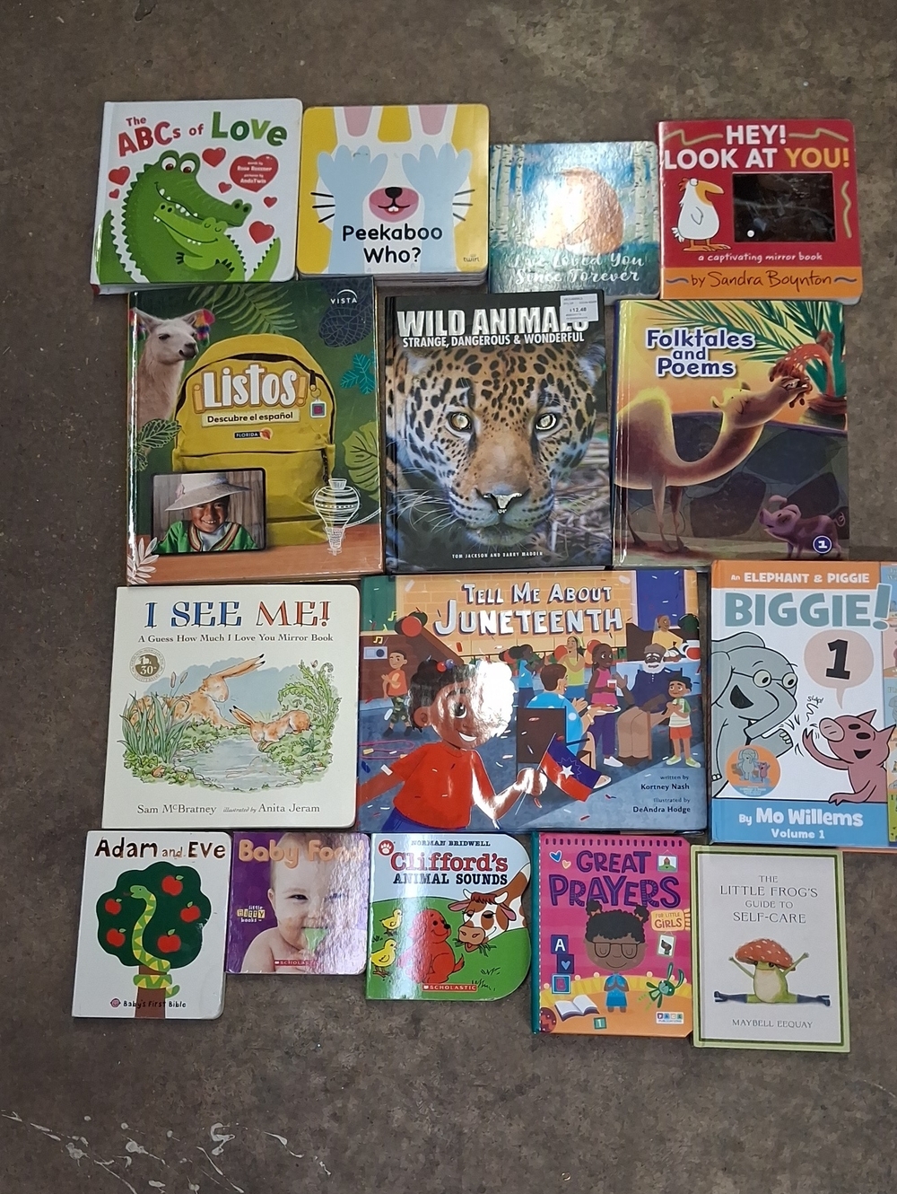15 Assorted Kids Hard Back Books